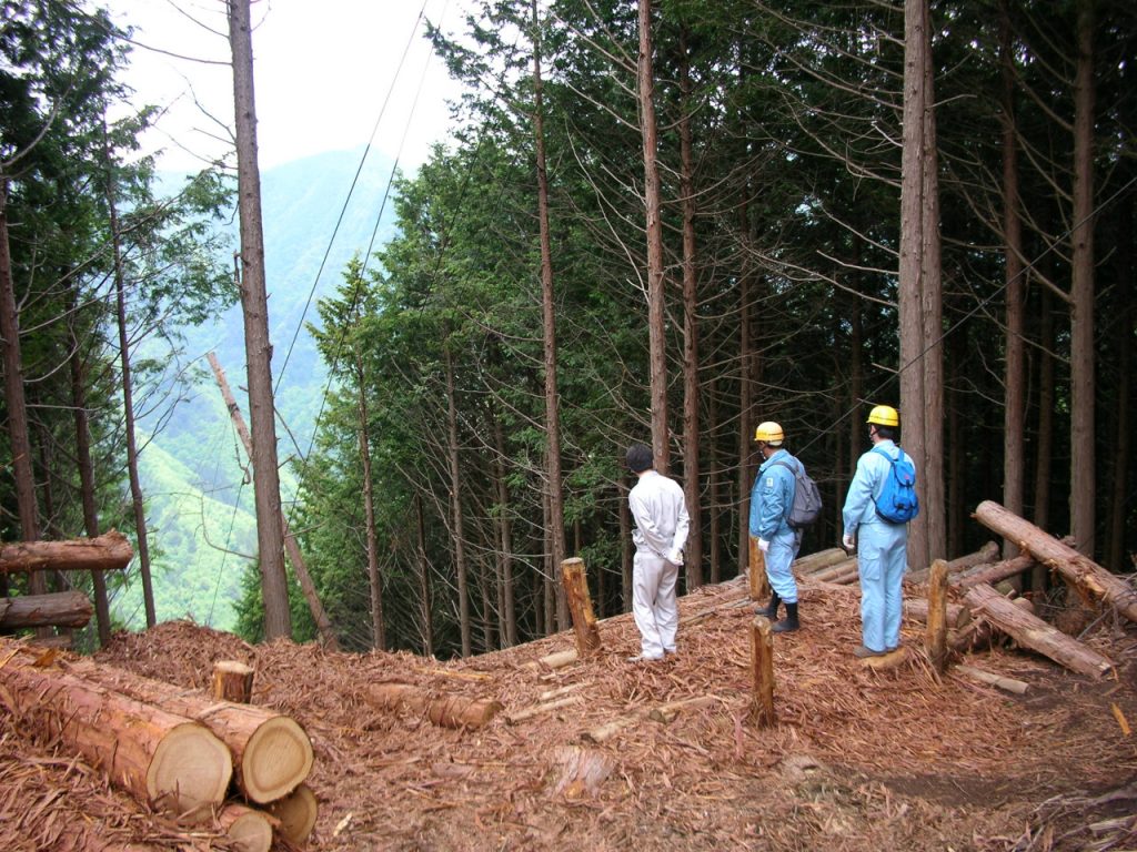 群馬県伊勢崎市で薪ストーブや自然素材を使った木の家のデザインされた注文住宅を建てるなら小林建設