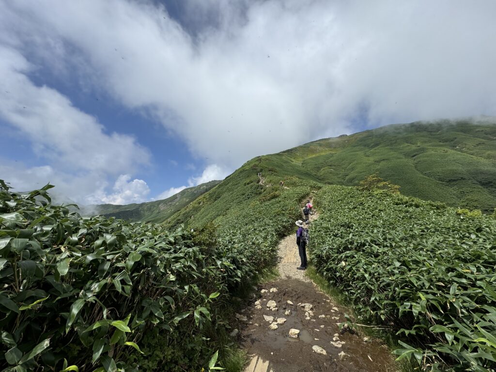 谷川岳登山、谷川岳ロープウェー