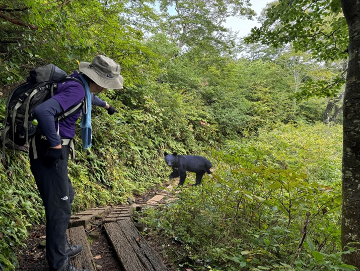 谷川岳登山、谷川岳ロープウェー